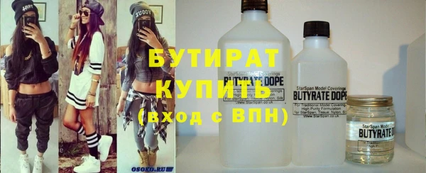 шишки Надым