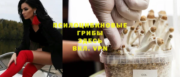 шишки Надым