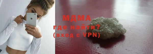 шишки Надым