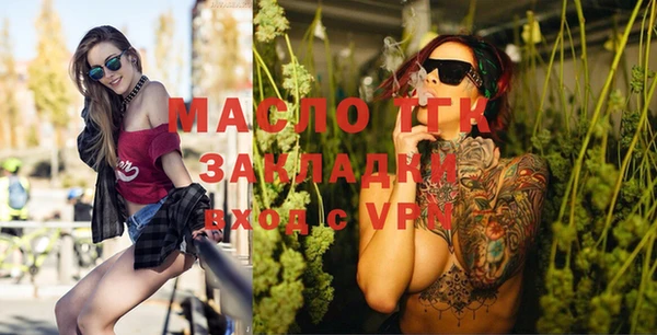шишки Надым