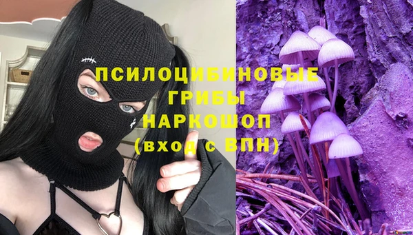 дживик Нея