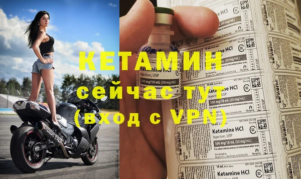 шишки Надым