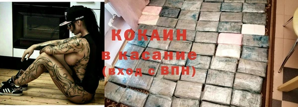 шишки Надым