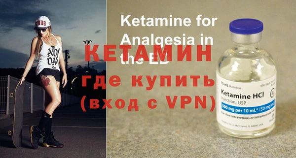 шишки Надым