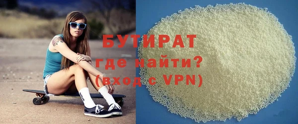 шишки Надым