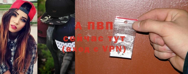 шишки Надым