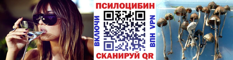 Псилоцибиновые грибы прущие грибы Княгинино